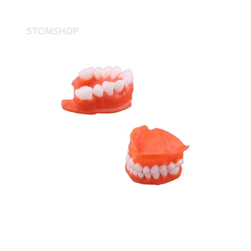 Gorky Liquid Dental Base FL SLA - фотополимерная смола для демонстрационных моделей десны, цвет розовый, 1 кг | Gorky Liquid (Россия)