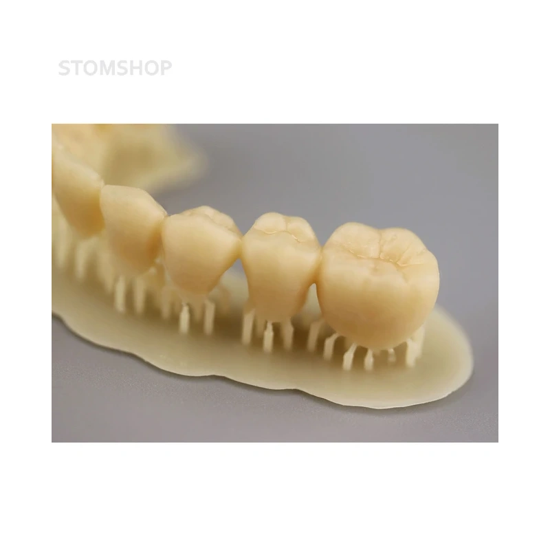 Gorky Liquid Dental Crown FL SLA - фотополимерная смола для стоматологии, цвет А1-А2, А2, А3 по шкале Вита, 1 кг | Gorky Liquid (Россия)