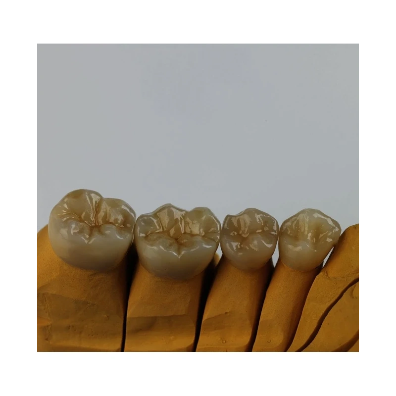Ceramill Zolid - заготовки из транслюцентного циркона | Amann Girrbach AG (Австрия)