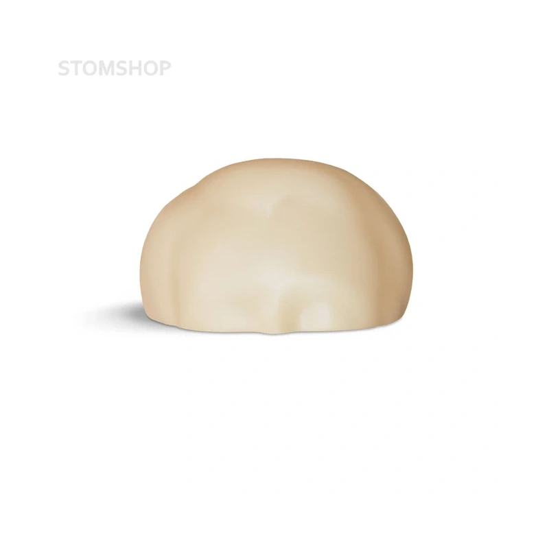 PCL – сменная модель черепного свода для фантома | GF Dental (Италия)