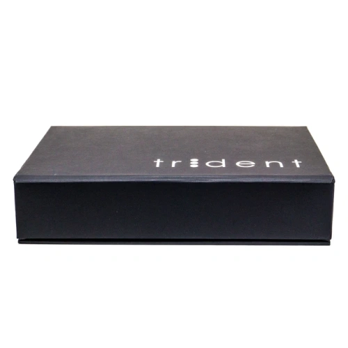 Trident I-View Gold - цифровой интраоральный визиограф, размер 1 | Trident (Италия)