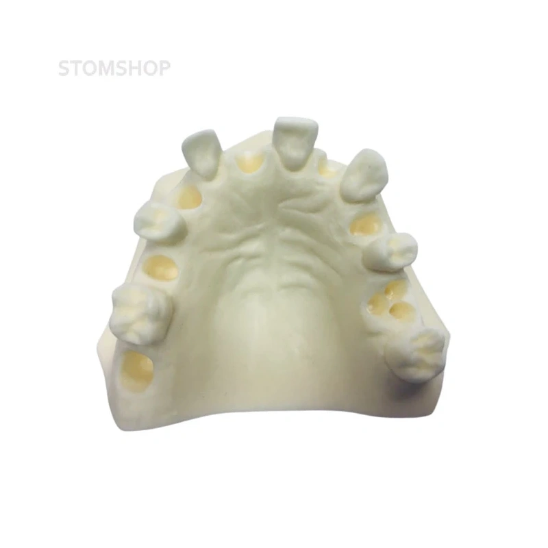 E37L – модель верхней челюсти для практики имплантологии | GF Dental (Италия)