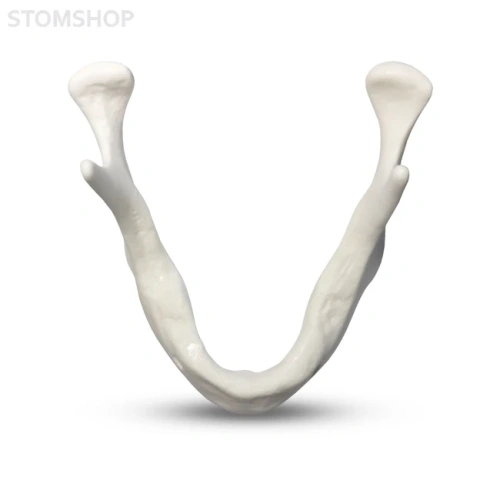 E81L – модель нижней челюсти для практики установки имплантатов | GF Dental (Италия)